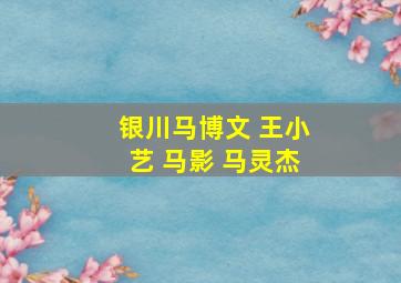 银川马博文 王小艺 马影 马灵杰